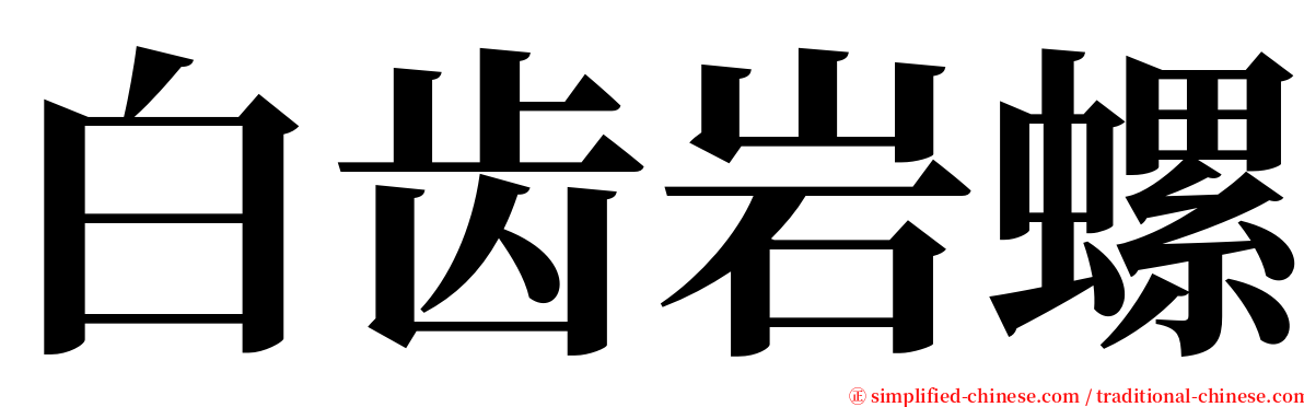 白齿岩螺 serif font