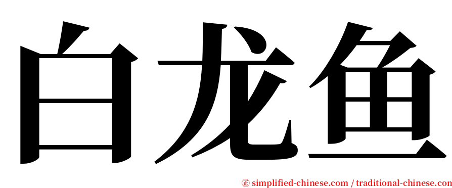 白龙鱼 serif font