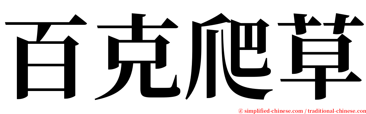 百克爬草 serif font