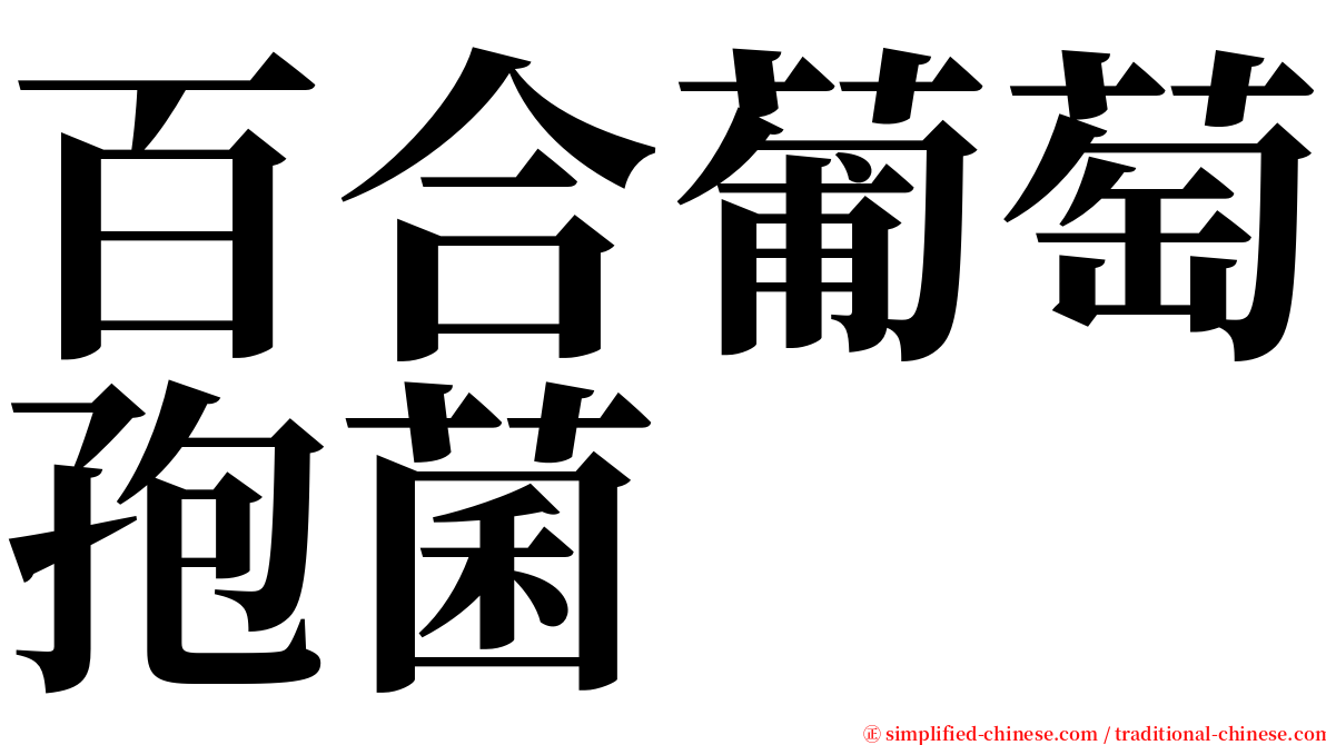 百合葡萄孢菌 serif font