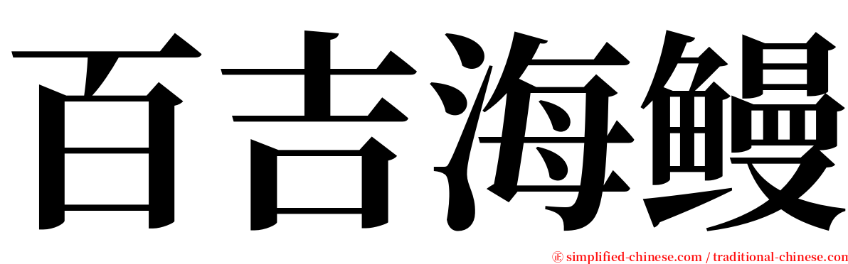 百吉海鳗 serif font