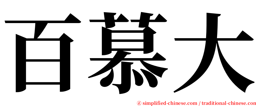 百慕大 serif font