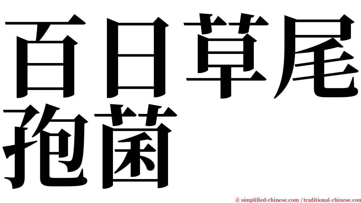 百日草尾孢菌 serif font