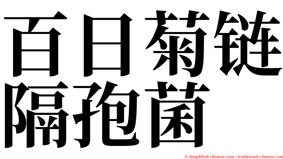 百日菊链隔孢菌 serif font