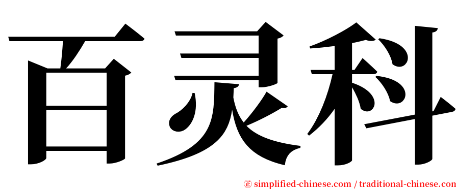 百灵科 serif font