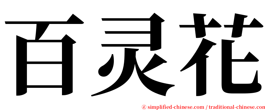 百灵花 serif font