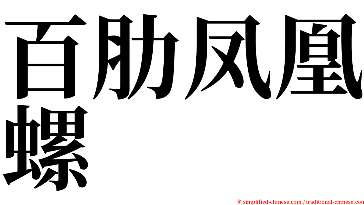 百肋凤凰螺 serif font