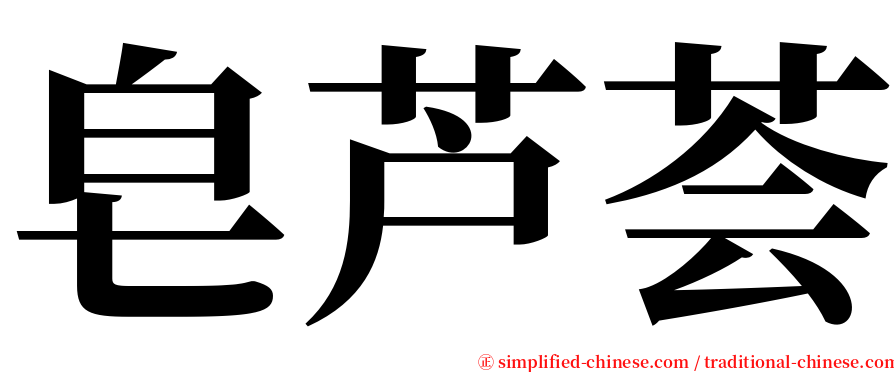 皂芦荟 serif font