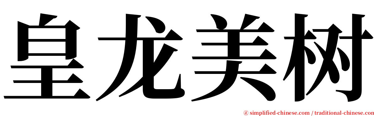 皇龙美树 serif font