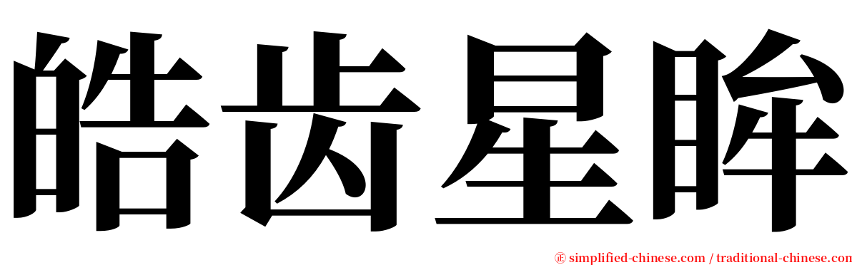 皓齿星眸 serif font