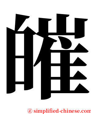 皠 serif font