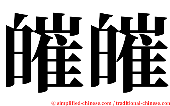 皠皠 serif font