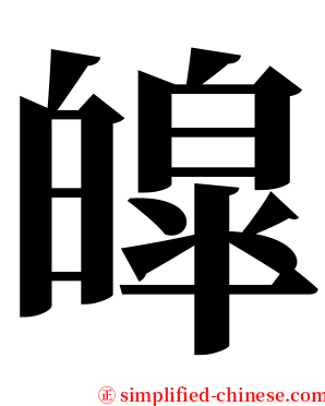 皡 serif font