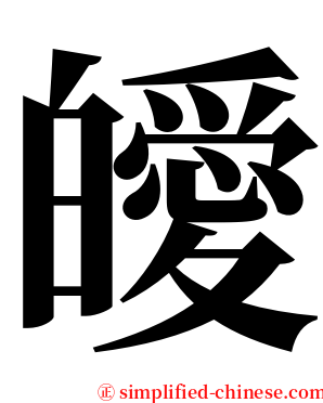 皧 serif font