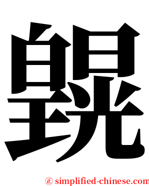 皩 serif font