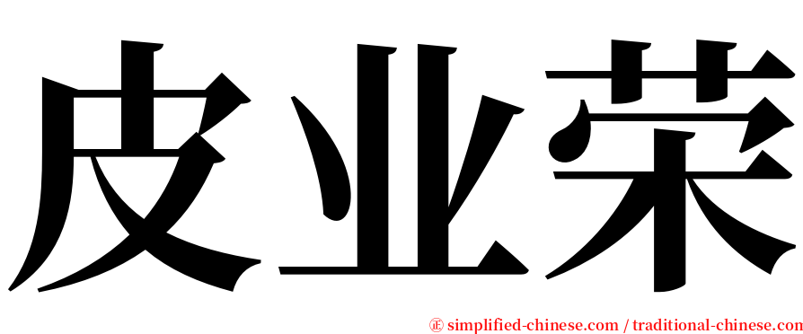 皮业荣 serif font