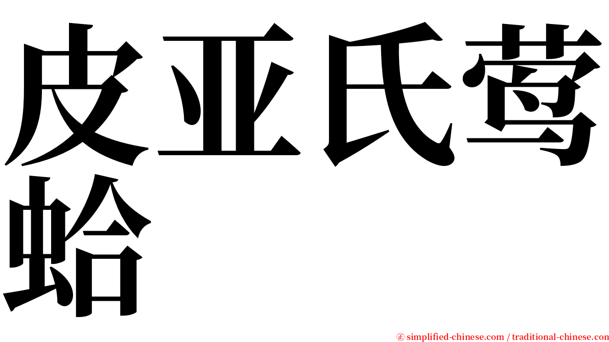 皮亚氏莺蛤 serif font