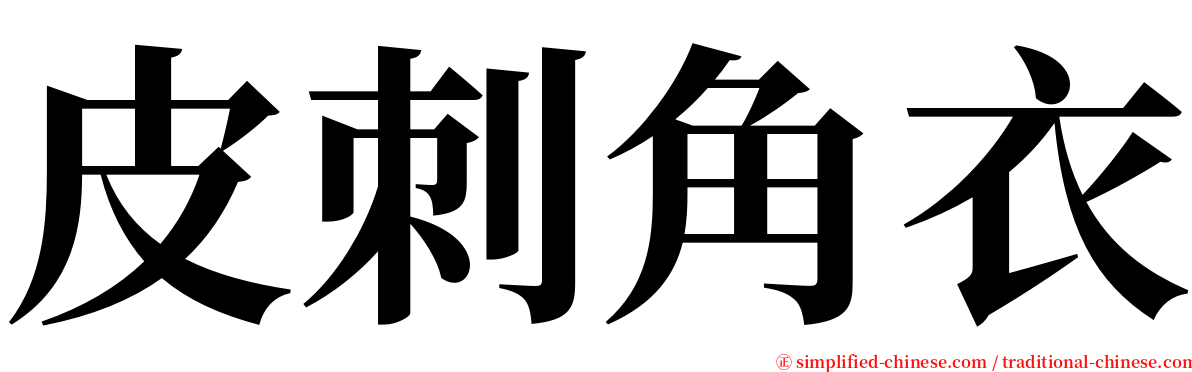 皮刺角衣 serif font