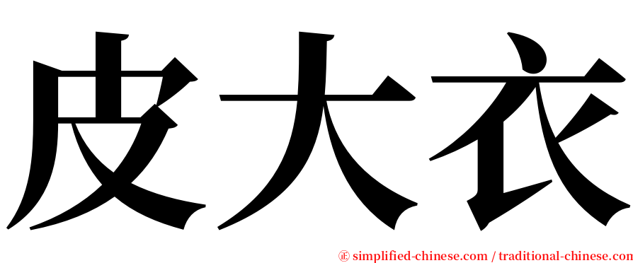 皮大衣 serif font