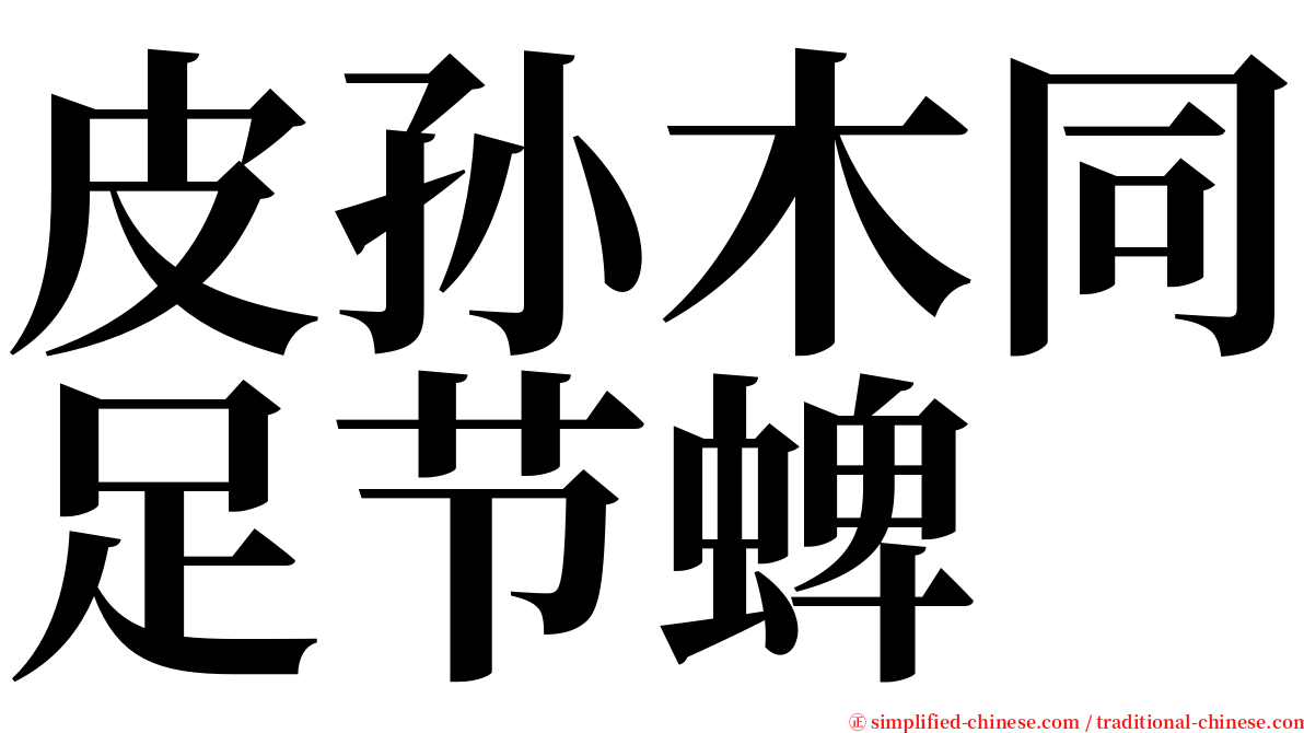 皮孙木同足节蜱 serif font