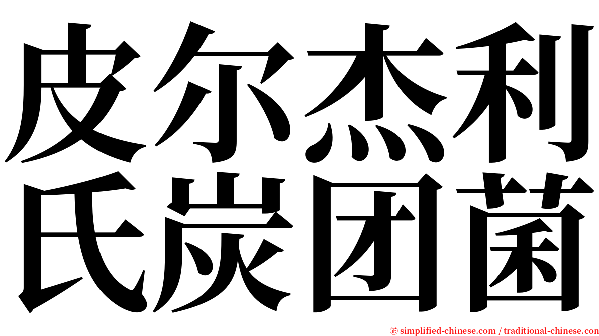 皮尔杰利氏炭团菌 serif font