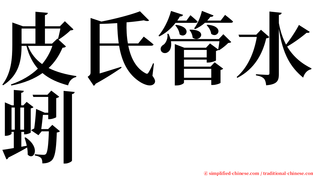 皮氏管水蚓 serif font