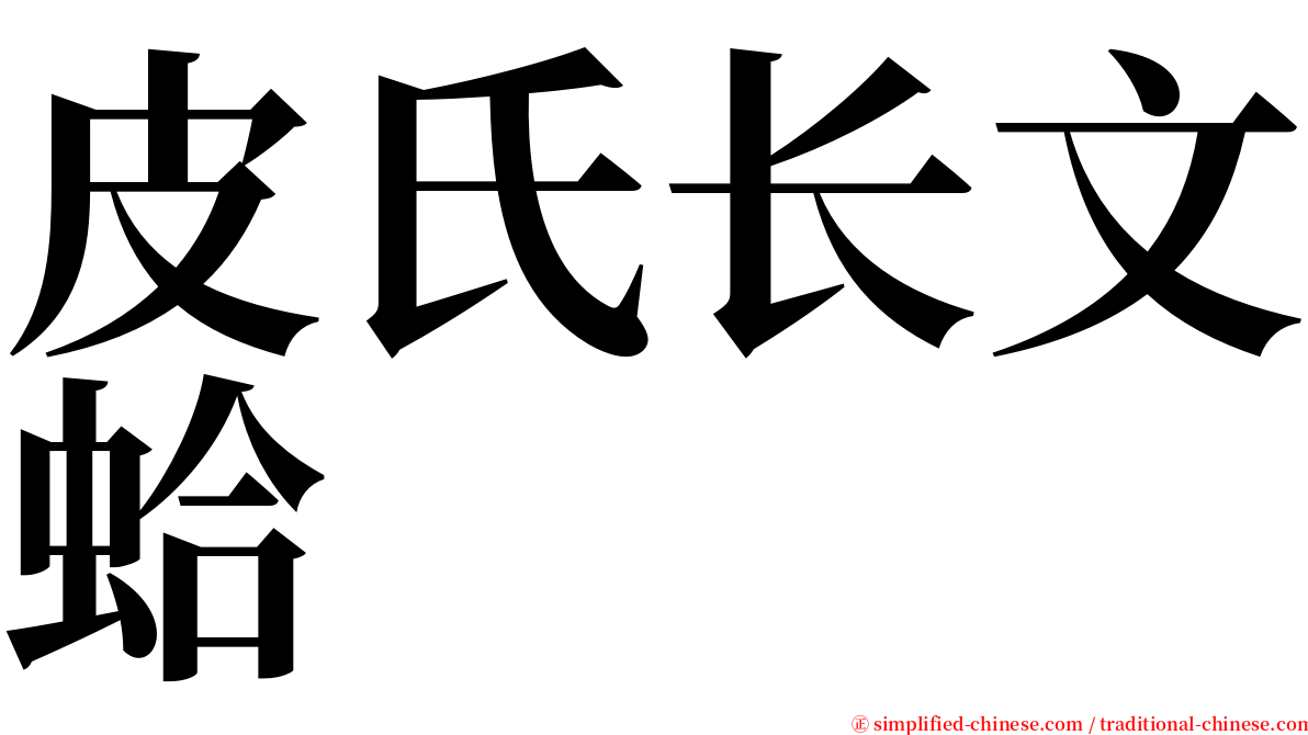 皮氏长文蛤 serif font
