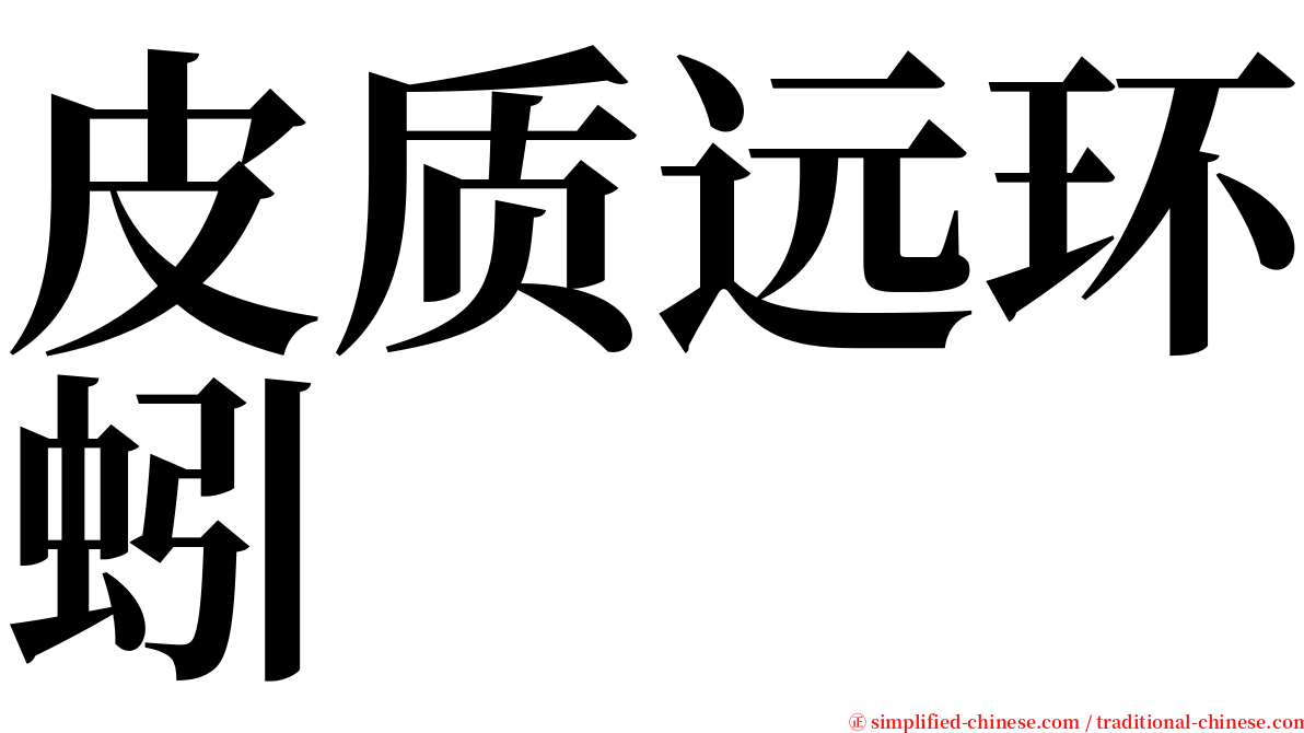 皮质远环蚓 serif font