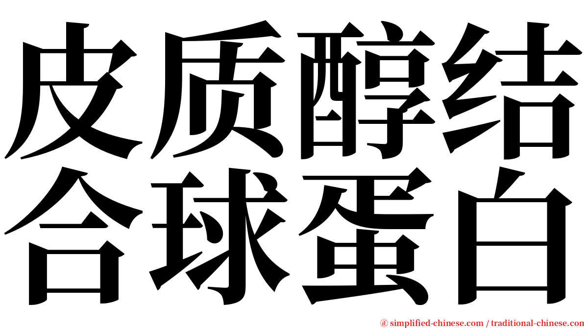 皮质醇结合球蛋白 serif font