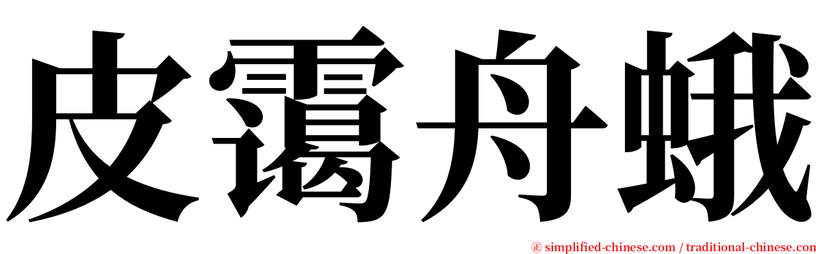 皮霭舟蛾 serif font