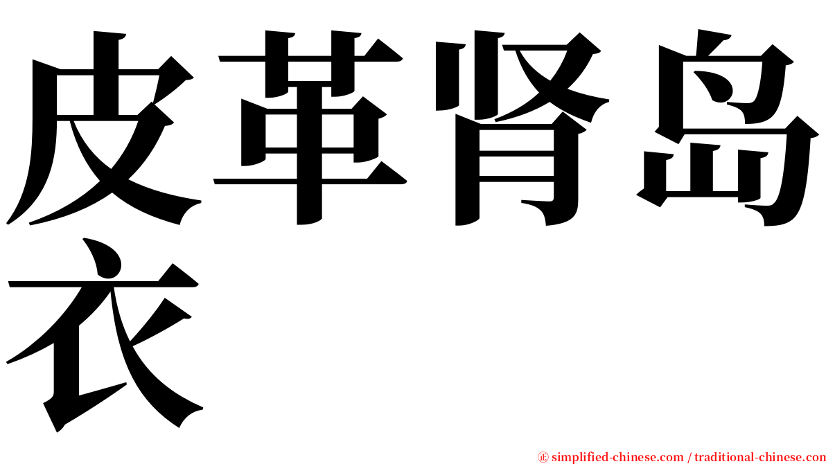 皮革肾岛衣 serif font