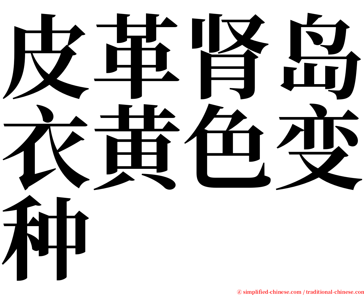 皮革肾岛衣黄色变种 serif font