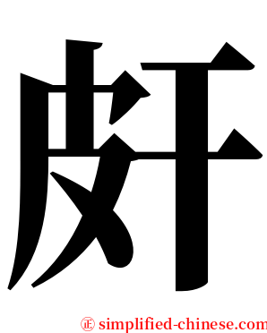 皯 serif font