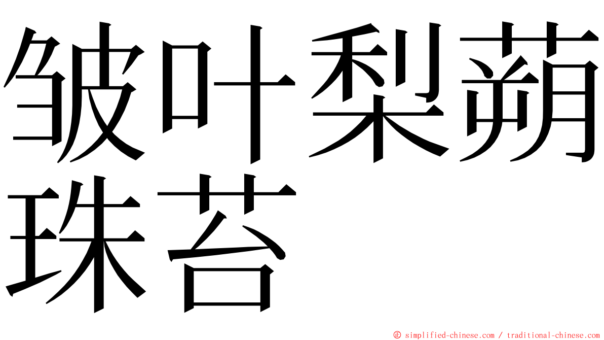 皱叶梨蒴珠苔 ming font