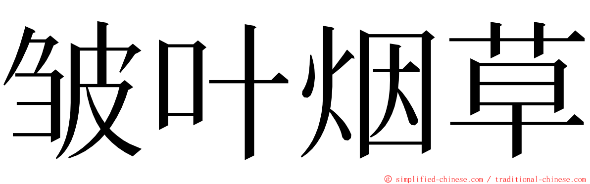皱叶烟草 ming font