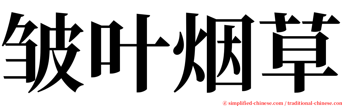 皱叶烟草 serif font