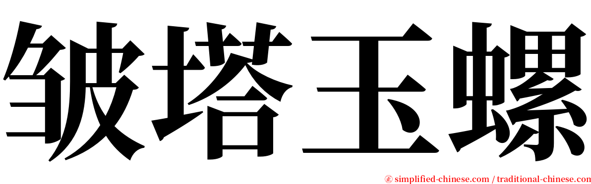 皱塔玉螺 serif font