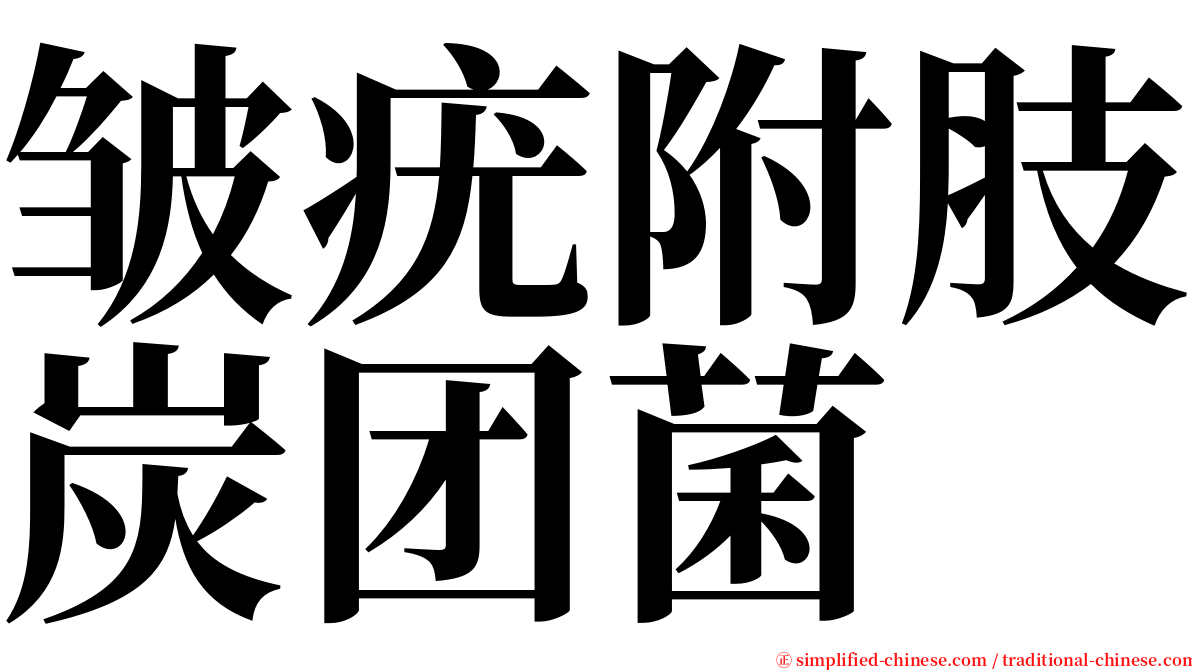 皱疣附肢炭团菌 serif font