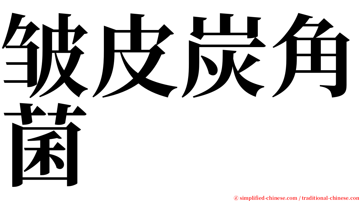 皱皮炭角菌 serif font