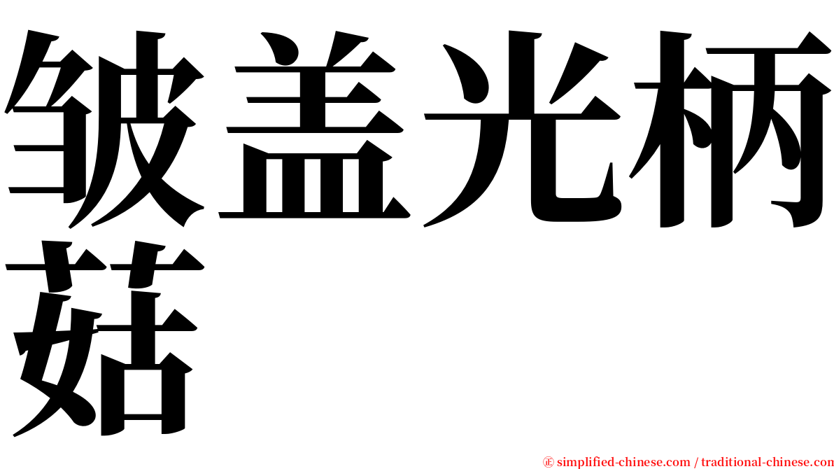 皱盖光柄菇 serif font