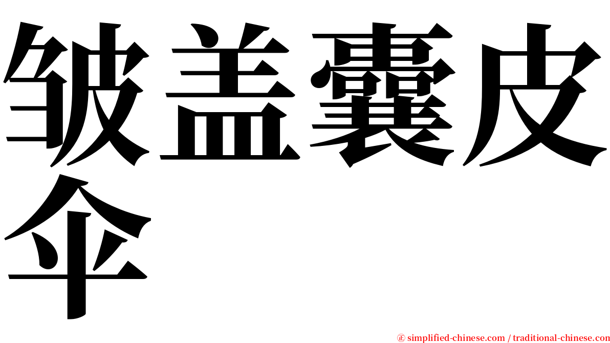 皱盖囊皮伞 serif font