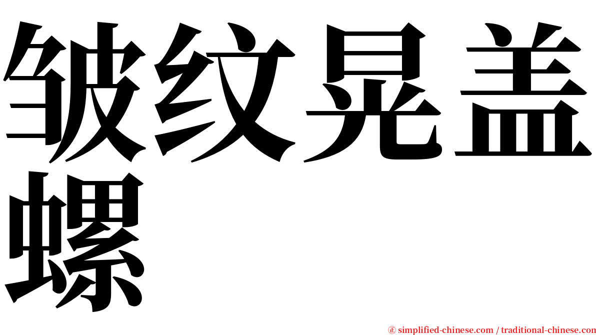 皱纹晃盖螺 serif font