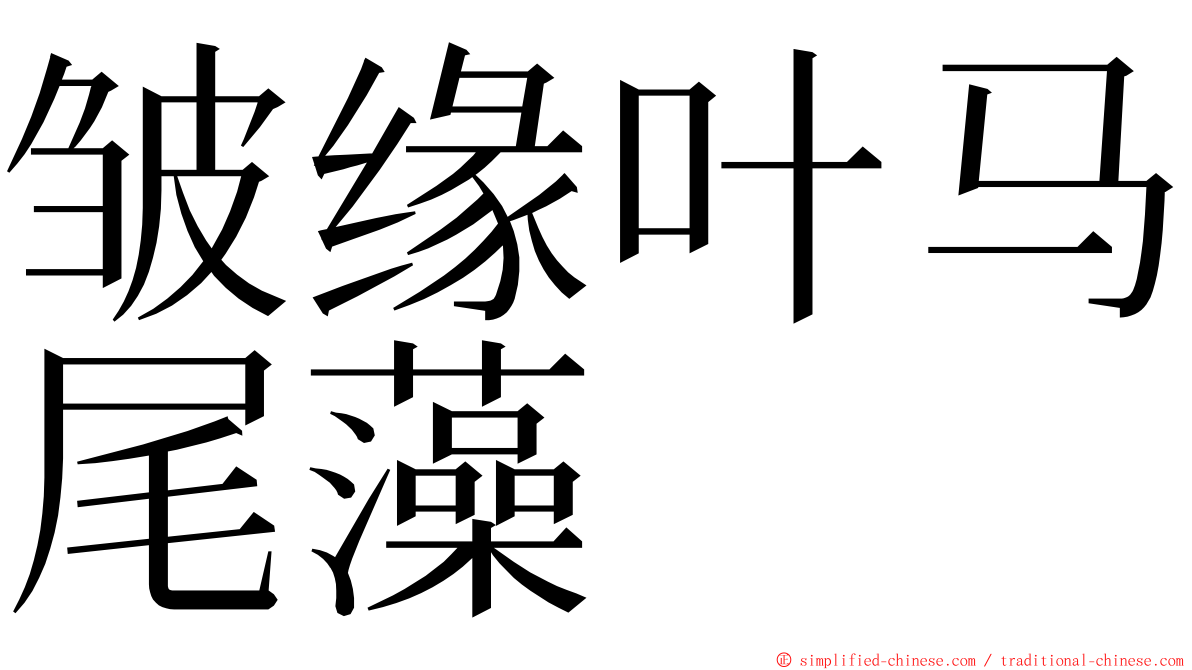 皱缘叶马尾藻 ming font