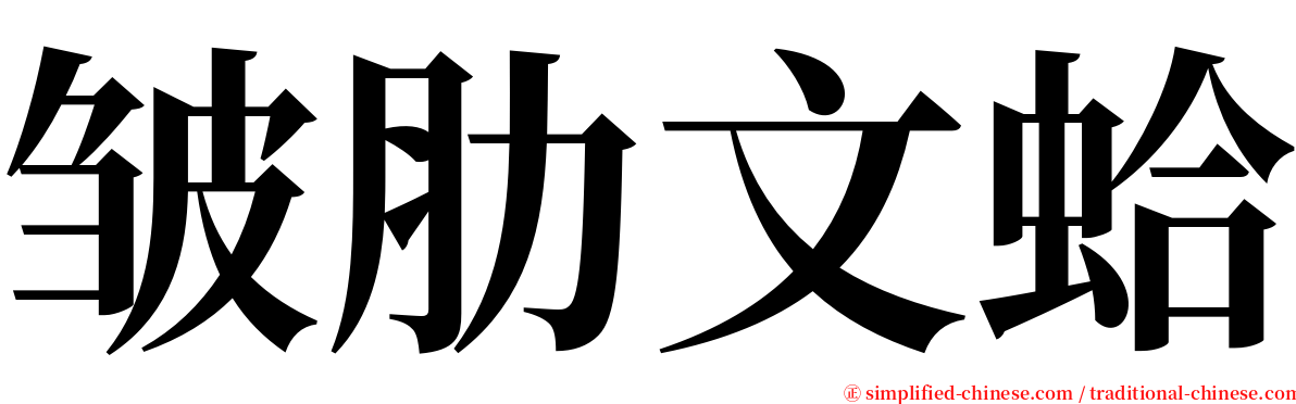 皱肋文蛤 serif font