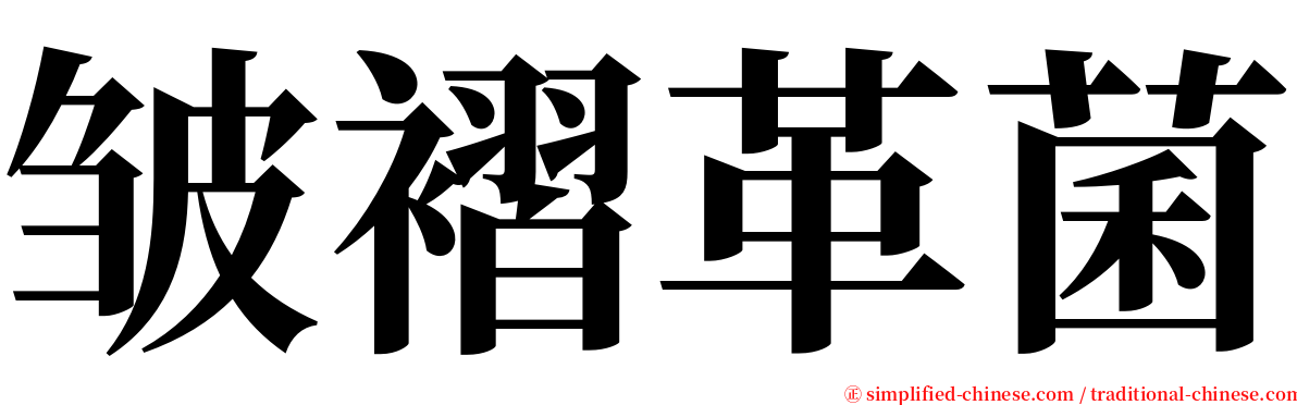 皱褶革菌 serif font