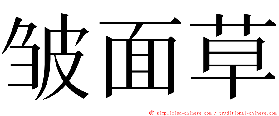 皱面草 ming font