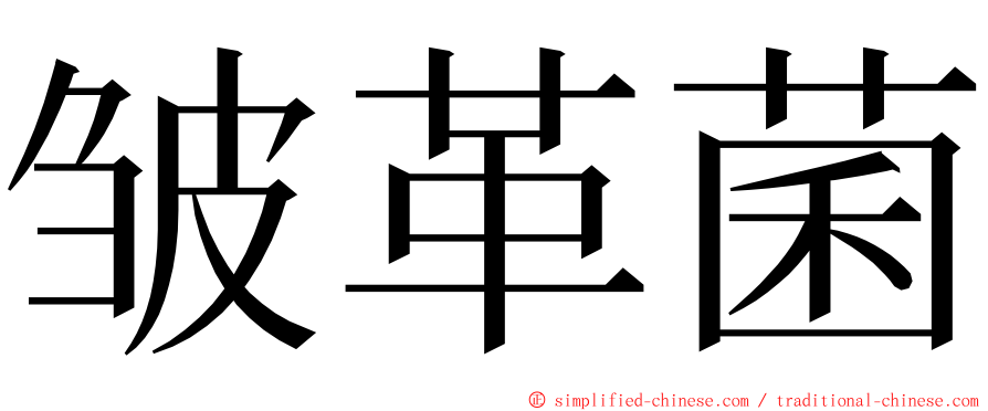 皱革菌 ming font