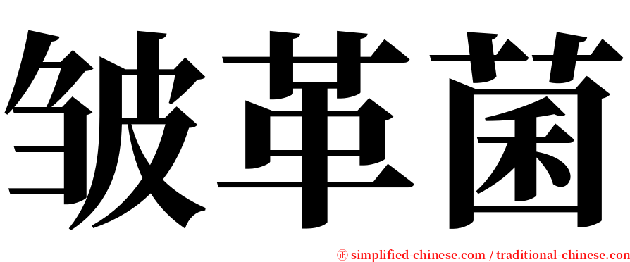 皱革菌 serif font