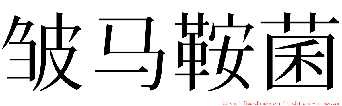 皱马鞍菌 ming font