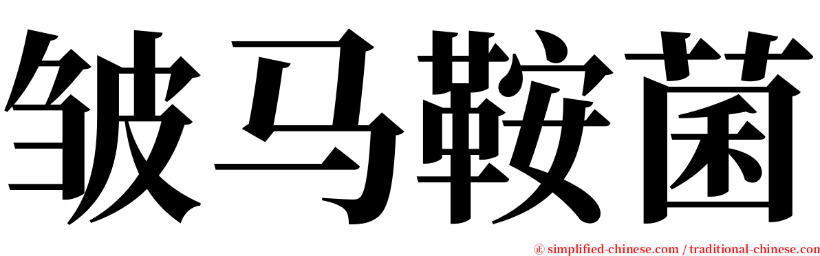 皱马鞍菌 serif font